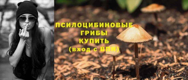 эйфоретик Балахна