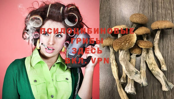 эйфоретик Балахна