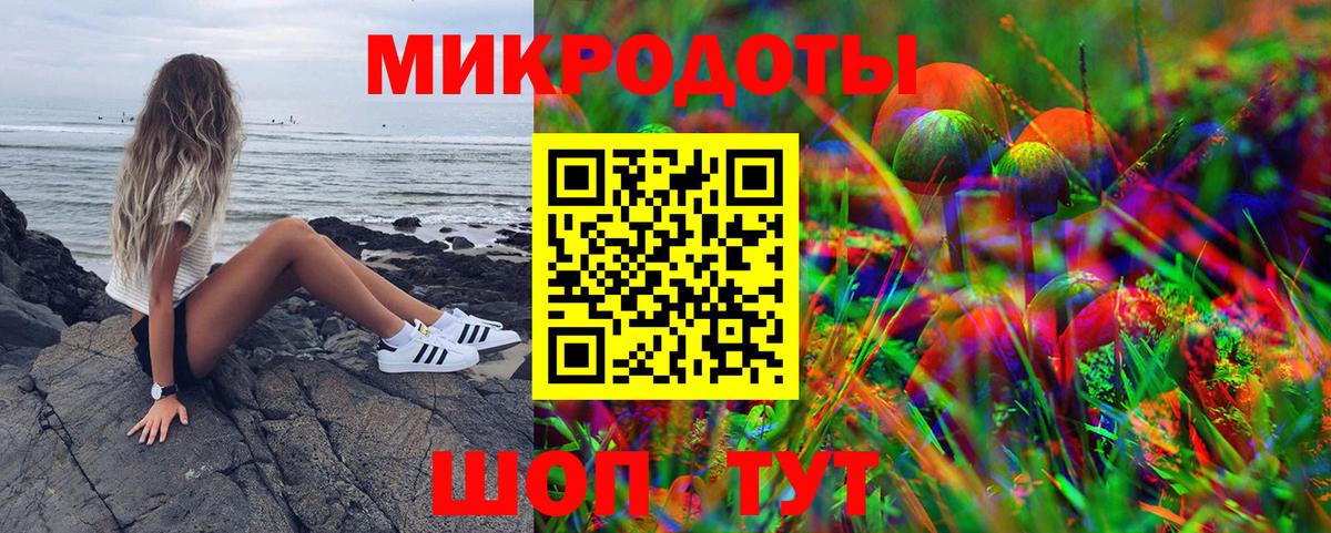 Сегежа  Галлюциногенные грибы мухоморы  Галлюциногенные грибы GOLDEN TEACHER  Вход с VPN 