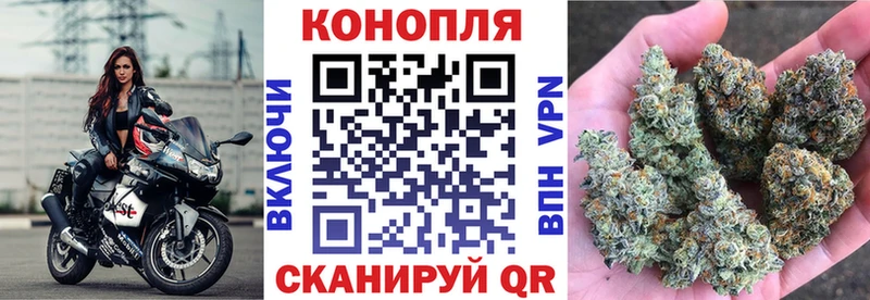 закладка  Сегежа  Каннабис план 