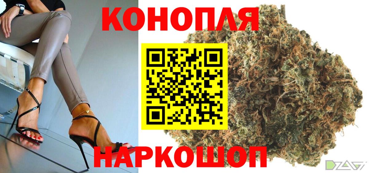 Шишки марихуана семена  Конопля семена  Сегежа  Вход с VPN  Каннабис план 